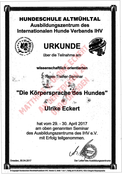 Die Körpersprache des Hundes