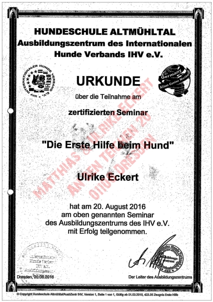 Erste Hilfe