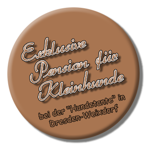 Exklusive Kleinhundebetreuung